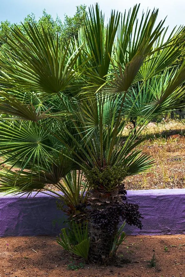 Bed and Breakfast Funtana'e Mari Gonnesa Bed & Breakfast