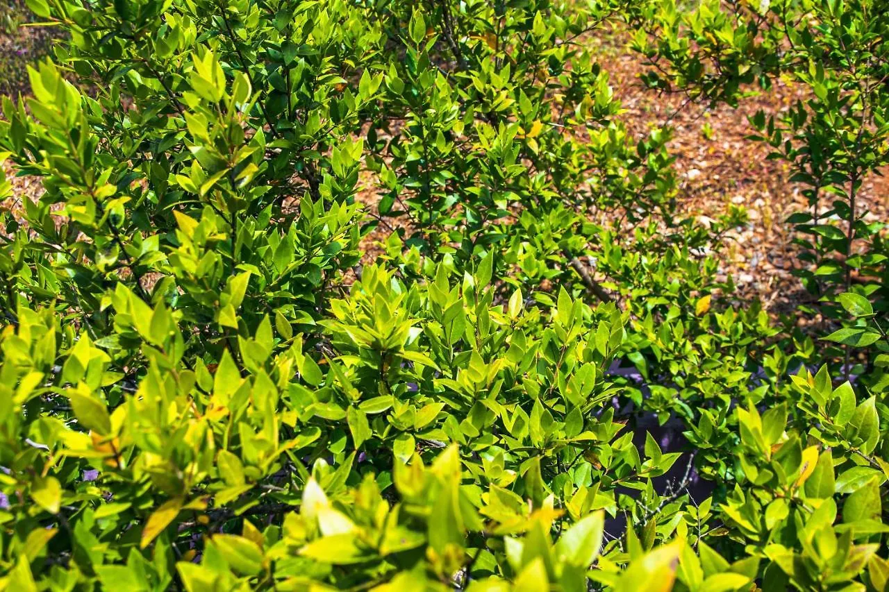 Funtana'E Mari Bed & Breakfast Gonnesa