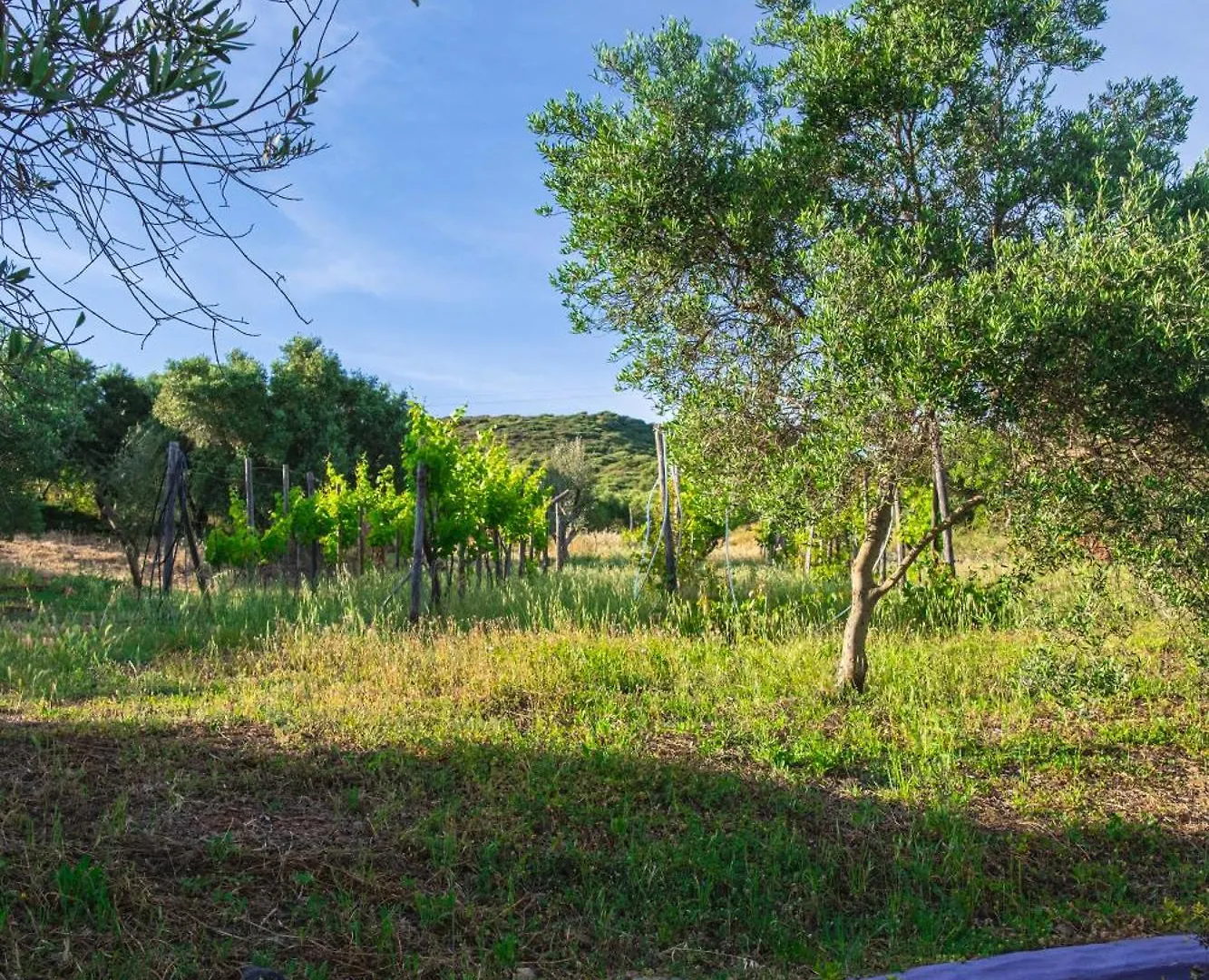 Funtana'E Mari Bed & Breakfast Gonnesa